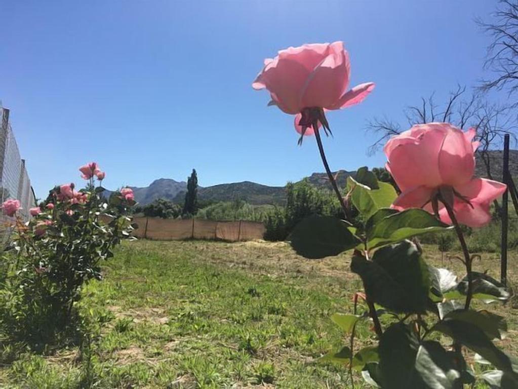 Casa Rural La Maestra Ronda Kültér fotó