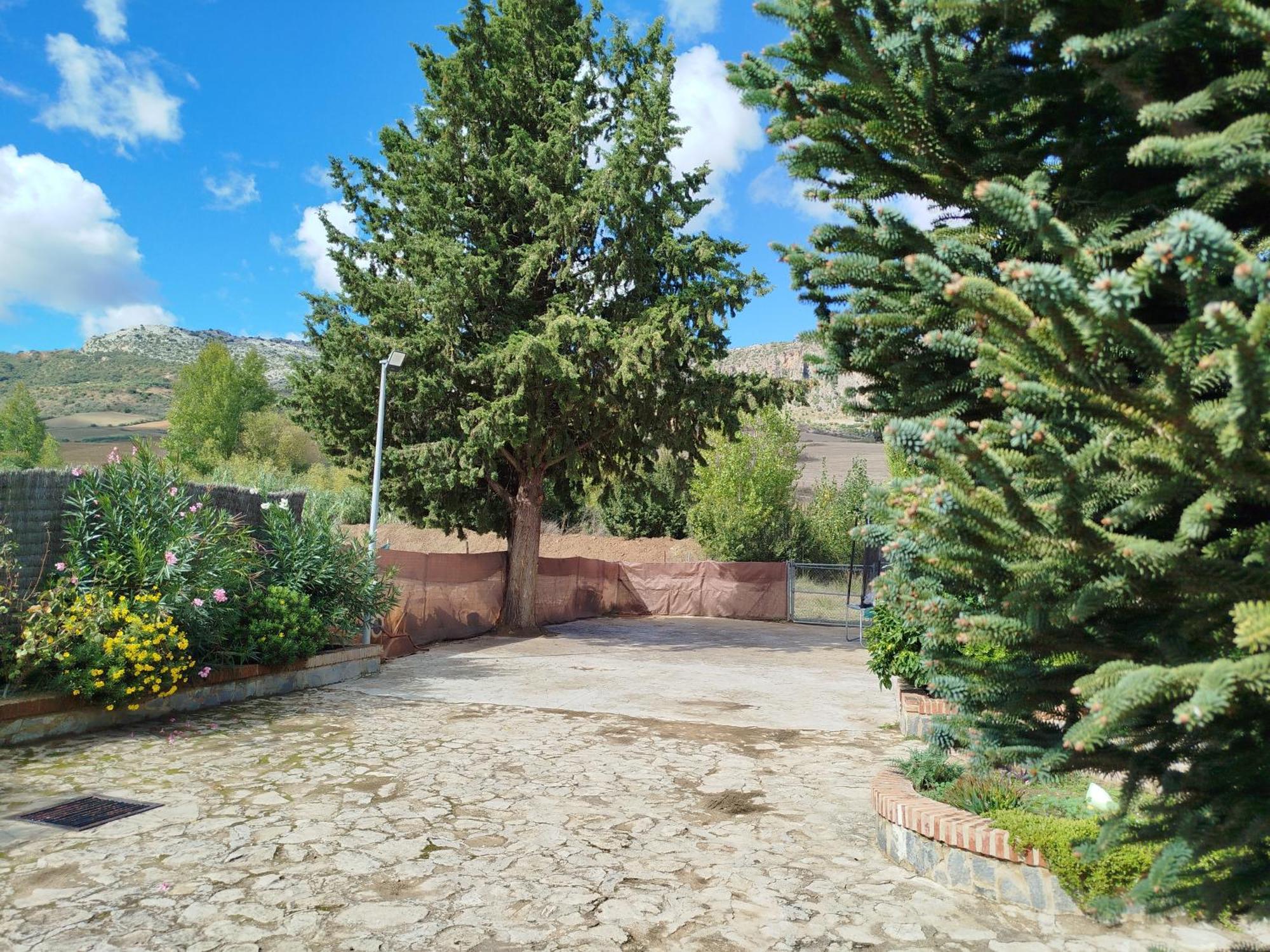 Casa Rural La Maestra Ronda Kültér fotó